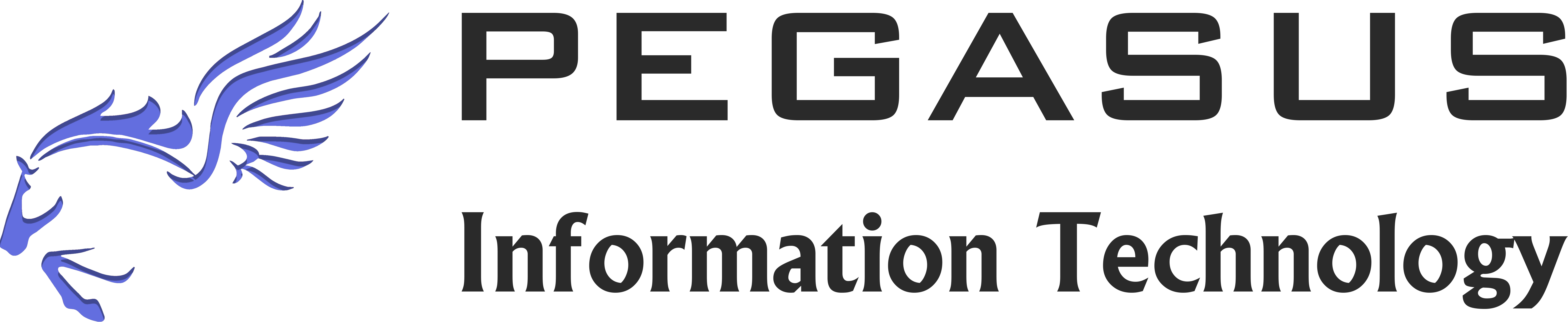 Pegasus Information Technology